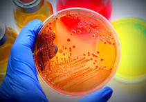 Crafting Captivating Headlines: Your awesome post title goes here