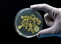 The Art of Drawing Readers In: Your attractive post title goes here