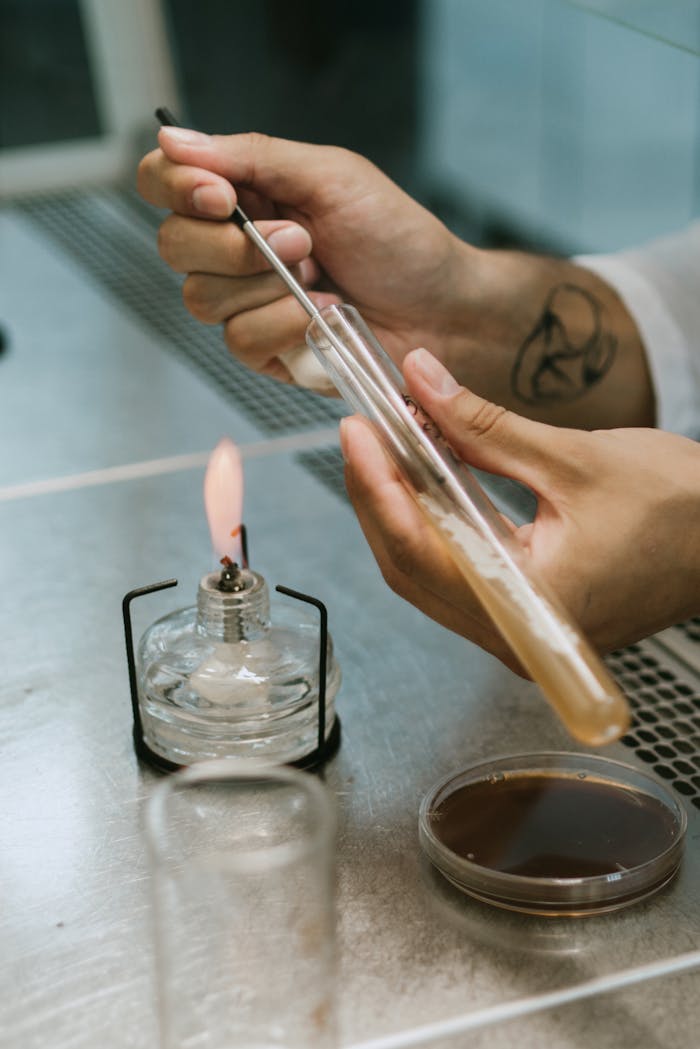 Scientist carefully uses a Bunsen burner to heat a test tube in a laboratory setting.