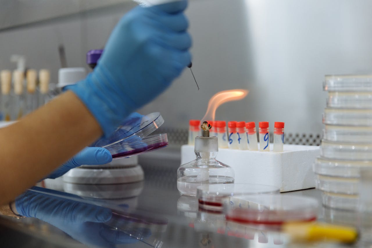 Close-up of a scientist conducting an experiment with petri dishes and a Bunsen burner in a laboratory.
