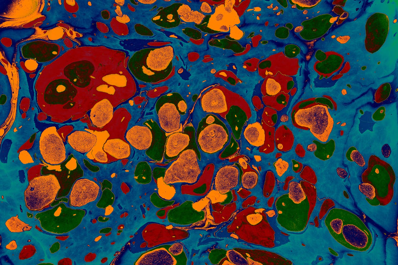 gallery-02 Dynamic abstract fluid art painting with vibrant colors and organic shapes.